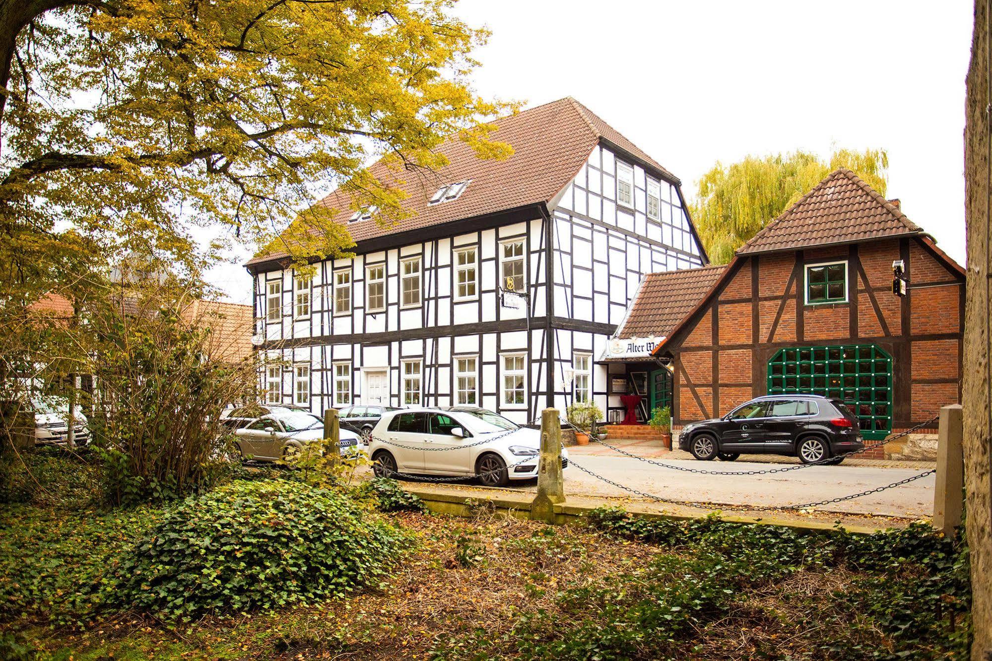 Hotel Alter Wolf Wolfsburg Exterior photo